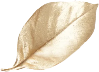 Home – Impressionz® Beauty, Skincare, Cosmetics &Amp; Makeup Tools About Us - Leading Luxury Beauty Tools By Impressionz