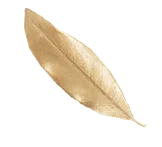 Home – Impressionz® Beauty, Skincare, Cosmetics &Amp; Makeup Tools About Us Section - Impressionz High-End Beauty Products